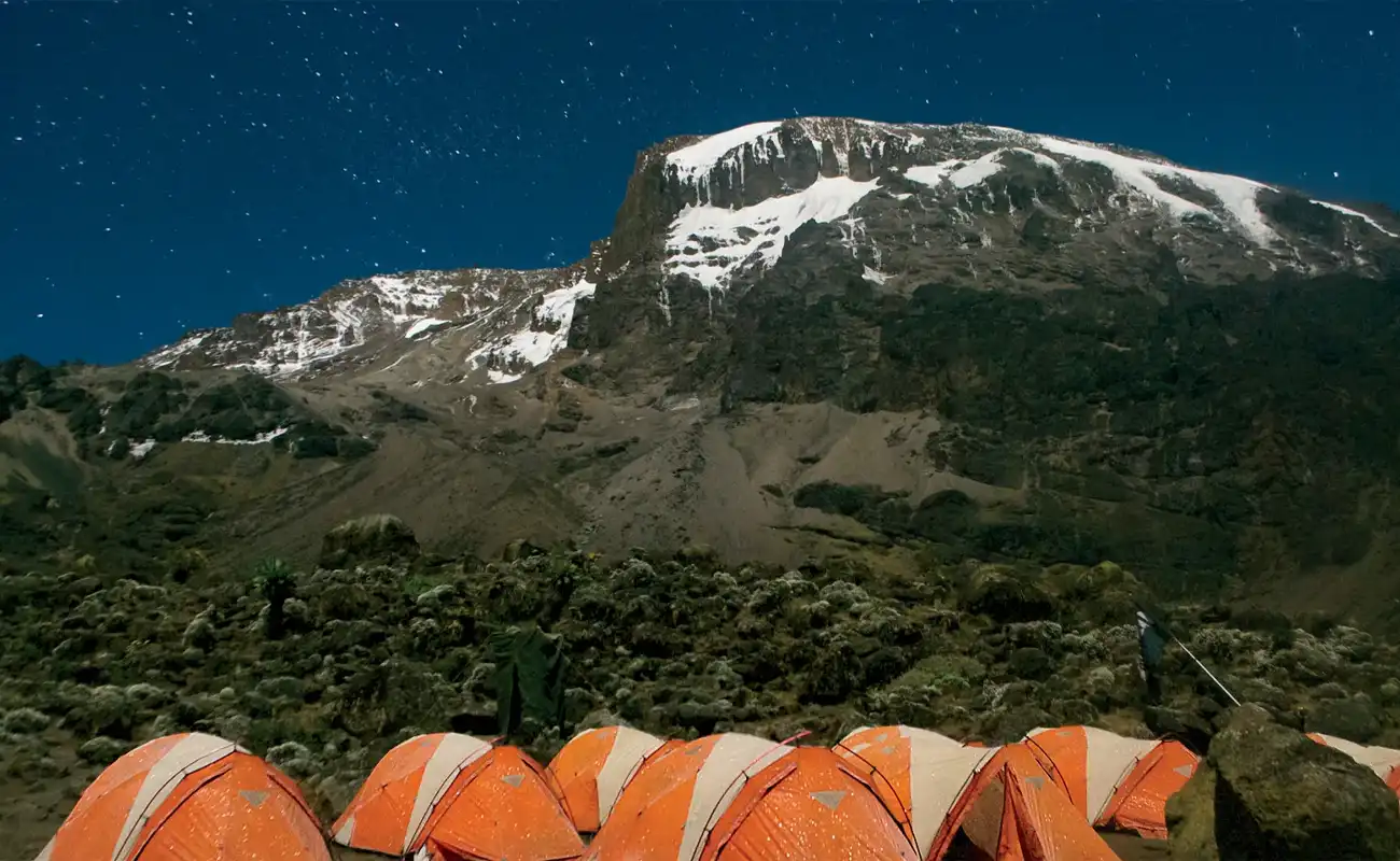 8 Days Kilimanjaro Climb Northern Circuit Kilimanjaro Guide