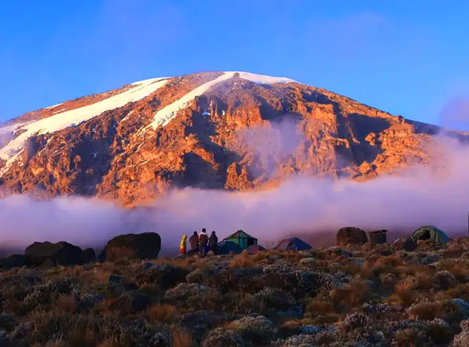 Training for Kilimanjaro: How to Prepare for a Successful Summit Training for Kilimanjaro: How to Prepare for a Successful Summit Sia Yangu Safari