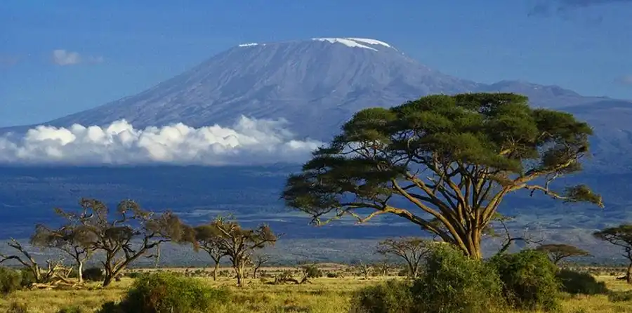 Tanzania Safari Destinations Kilimanjaro National Park