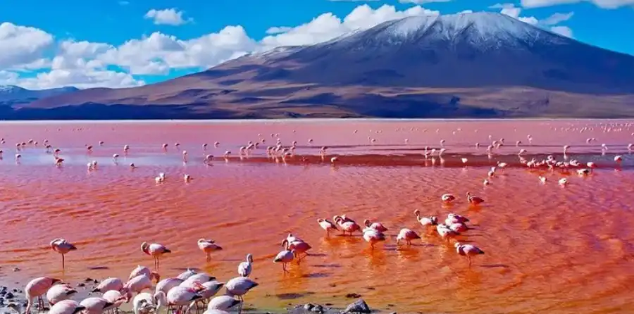Tanzania Safari Destinations Lake Natron
