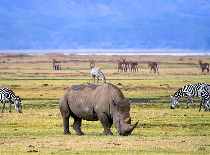 Best Route To Climb Kilimanjaro Best Route To Climb Kilimanjaro Sia Yangu Safari