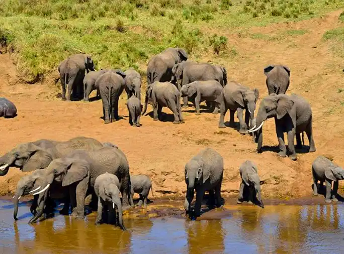Best Route To Climb Kilimanjaro Best Route To Climb Kilimanjaro Sia Yangu Safari