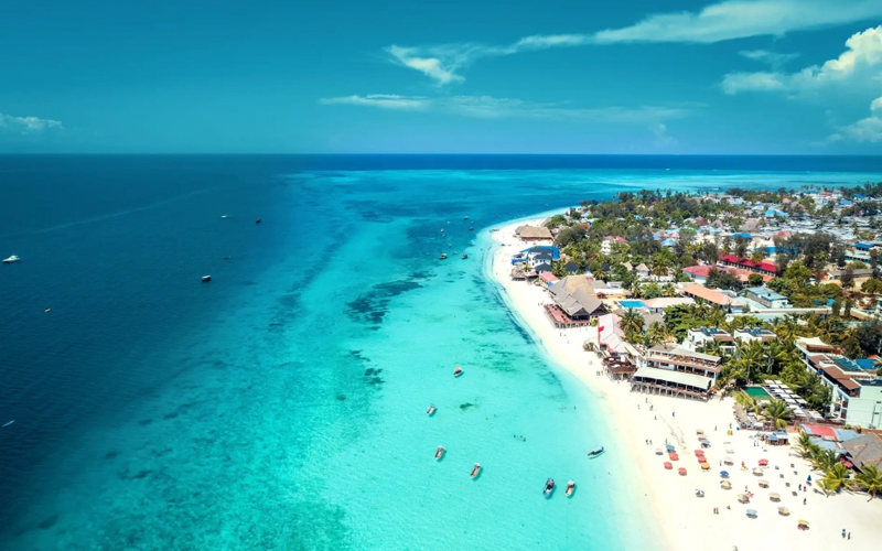 Why Tanzania Safaris Are a Must-Do for Global Travelers in 2025 Why Tanzania Safaris Are a Must-Do for Global Travelers in 2025