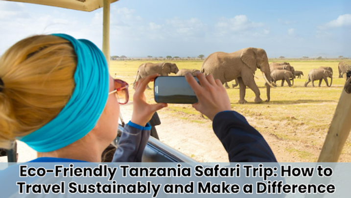 Eco-Friendly Tanzania Safari: Sustainable Travel Tips Sia Yangu Safari