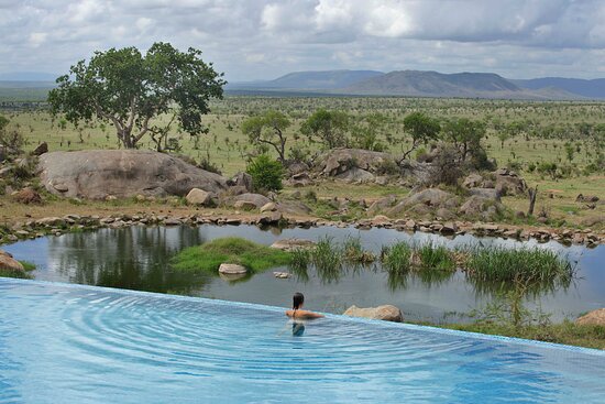 Four Seasons Safari Lodge Serengeti: 5-Star Wilderness Sia Yangu Safari