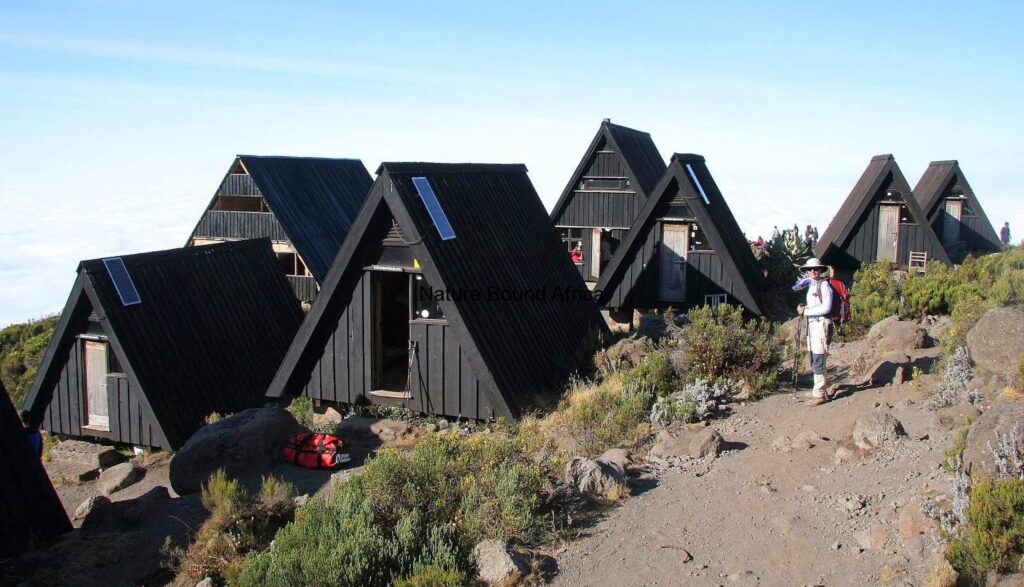 Horombo Huts: A Rest Stop On Kilimanjaro Sia Yangu Safari
