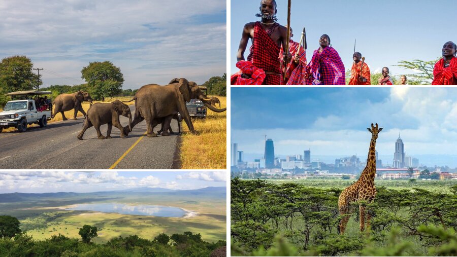 Is Tanzania Or Kenya Better For Safaris? Sia Yangu Safari