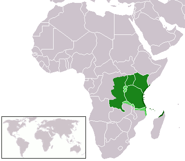 Swahili Language: The Linguistic Heart Of Tanzania Sia Yangu Safari