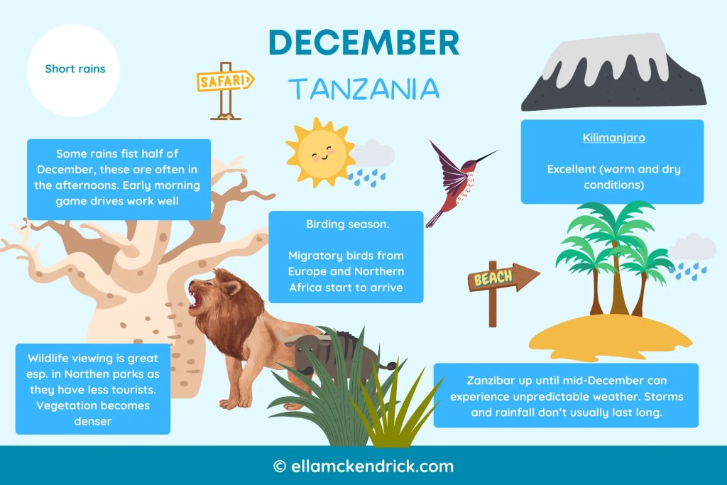 Tanzania Safari In December Tanzania Safari In December Sia Yangu Safari