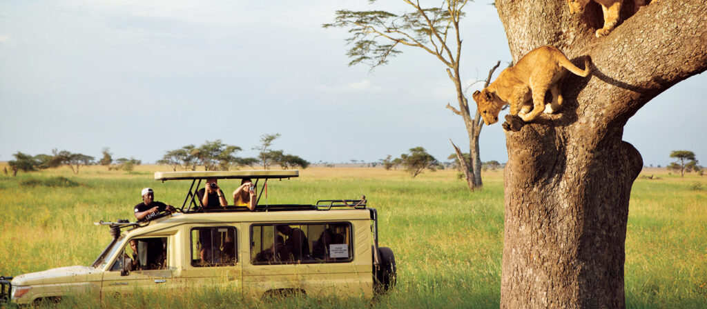 Tanzania Safari Packages Sia Yangu Safari