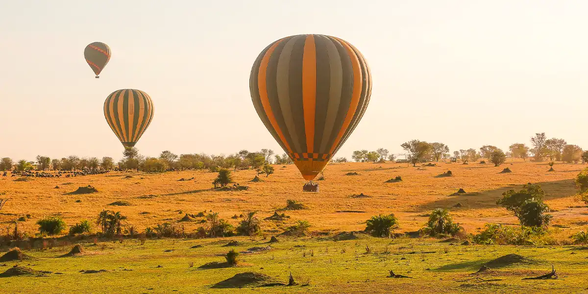the Serengeti, hot air balloon rides allow you to glide above the plains at dawn the Serengeti, hot air balloon rides allow you to glide above the plains at dawn