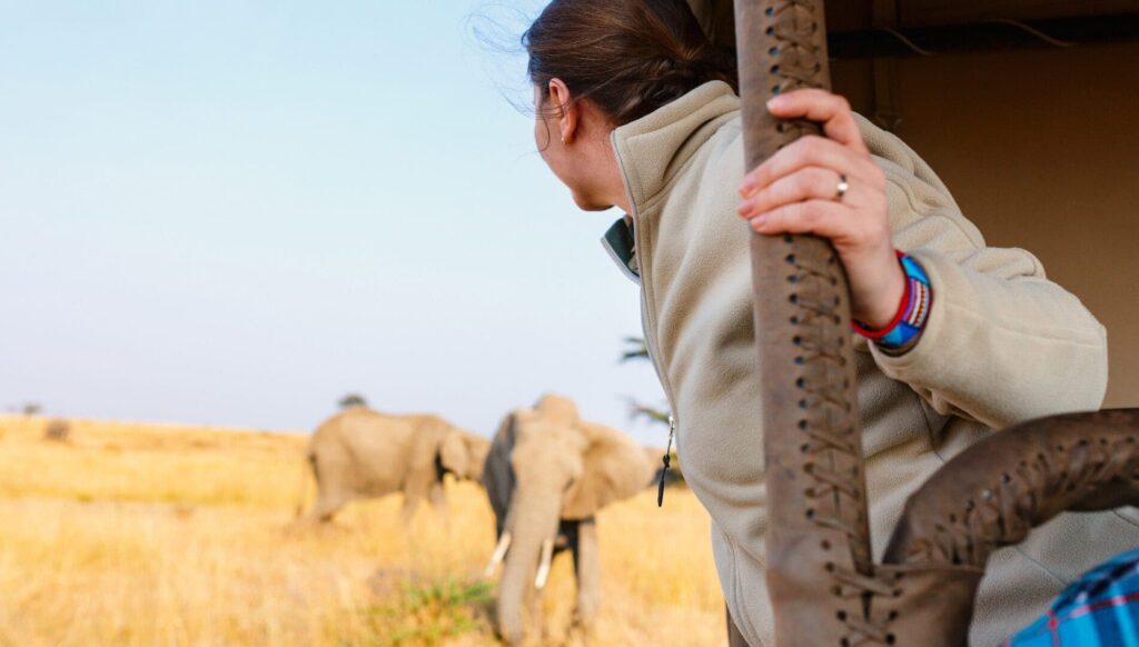 Plan Ahead: Why You Should Book A Peak-Season Tanzania Safari 12–18 Months In Advance Sia Yangu Safari