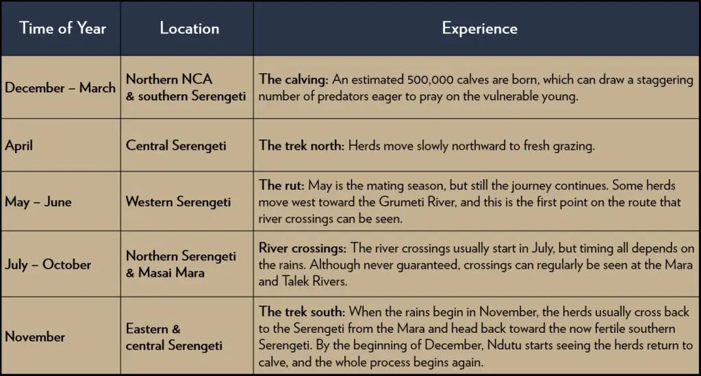 Safari Booking Timeline: When To Plan For The Great Migration Sia Yangu Safari